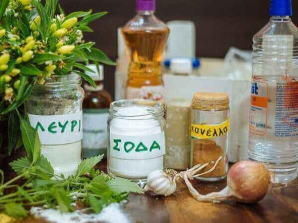 ΦΥΣΙΚΟ ΕΝΤΟΜΟΚΤΟΝΟ ΜΕ ΒΟΤΑΝΑ