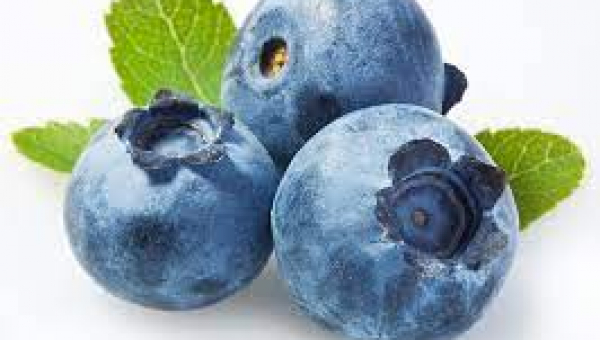 MΥΡΤΙΛΛΟ Ή BLUEBERRY