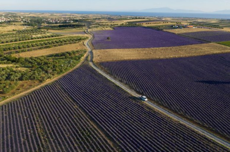 Εκτός οι Γεωτεχνικοί στους  επαγγελματίες που θα μπαίνουν με ένα κλικ στο Κτηματολόγιο !