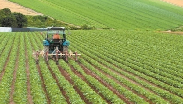 Τα νέα εργαλεία της ΚΑΠ για αγρότες και επιχειρήσεις